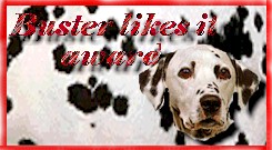 Buster likes it Award